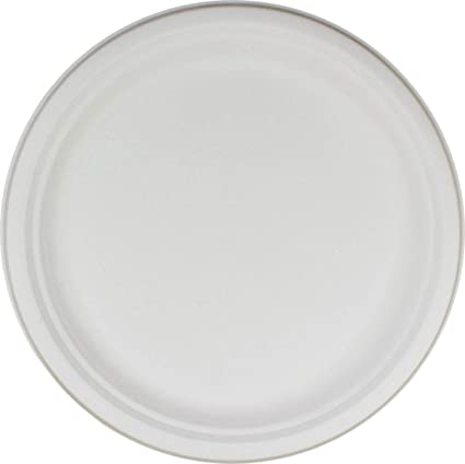 10 Inch Paper Plates, for Food serving
