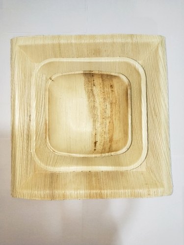 Square Areca Leaf Plate, for Food serving