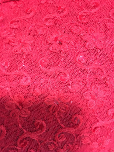 Schiffli Net Embroidery Fabric, Pattern : Embroidered