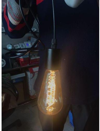 Round Incandescent Light Bulb