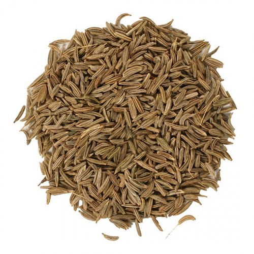 Organic Caraway Seeds, for Cooking, Spices, Packaging Type : Box