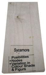 Rectangular Sycamore Wood, Length : 8 Feet