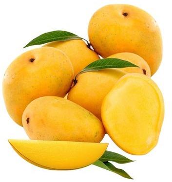 Organic Alphonso Mango, for Direct Consumption, Food Processing, Juice Making, Packaging Type : Corrugated Box