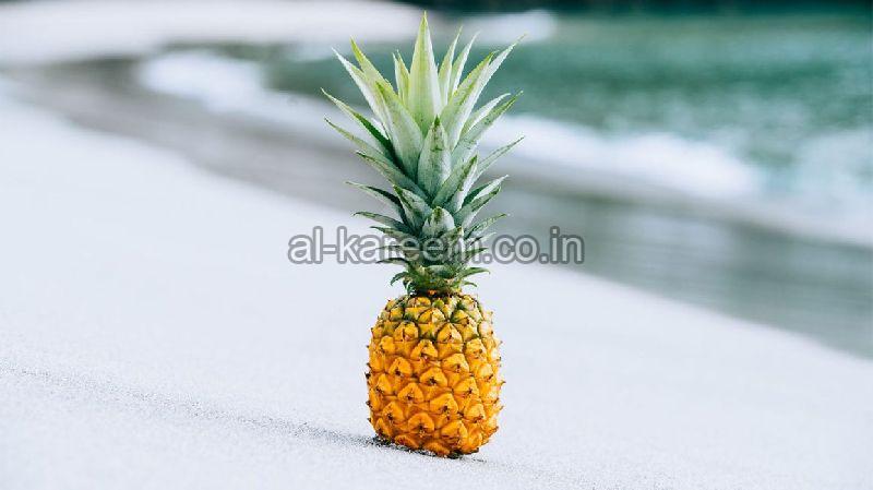 Fresh Pineapple, for Food, Juice, Snacks, Style : Canned