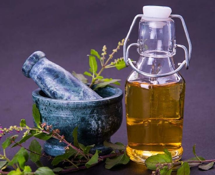 Refined Organic Tulsi Oil, Feature : Antioxidant
