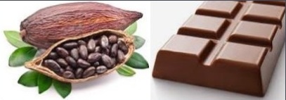 Dried Cocoa Beans, for Bakery Products, Cosmetics, Feature : Good Taste, Nice Aroma