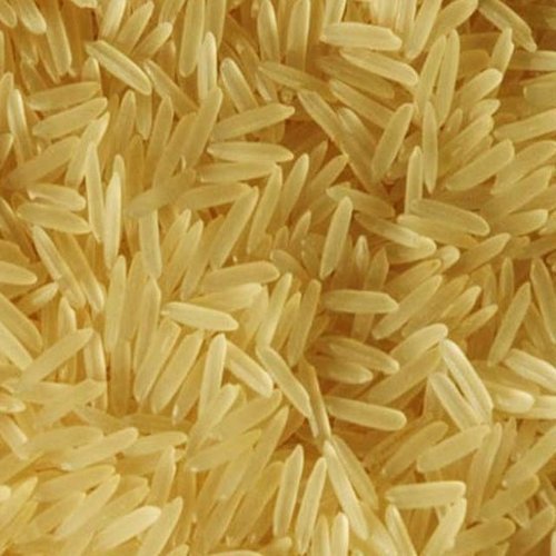 Organic Hard 1121 Golden Sella Rice, for High In Protein, Packaging Size : 5-10Kg