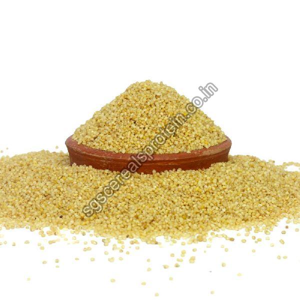 Natural Foxtail Millet Seeds, for Cattle Feed, Feature : Good In Taste