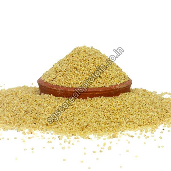 Foxtail Millet Seeds