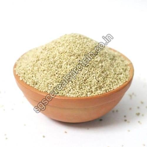 Little Millet Seeds, for Cattle Feed, Cooking, Variety : Hulled
