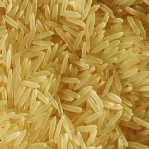 Hard Golden Sella Basmati Rice, for High In Protein, Packaging Size : 10-50 Kg