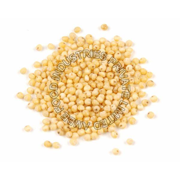 Organic Millet Seeds, for Cattle Feed, Cooking, Packaging Size 25kg
