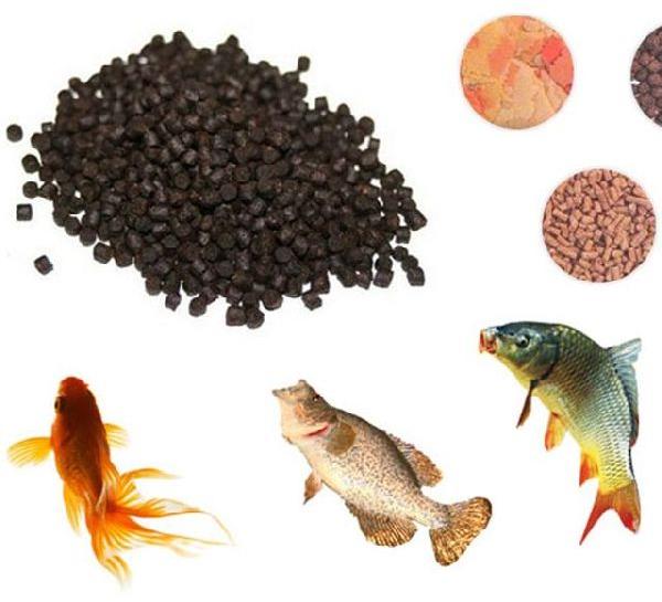 Fish feed, Feature : High In Protein
