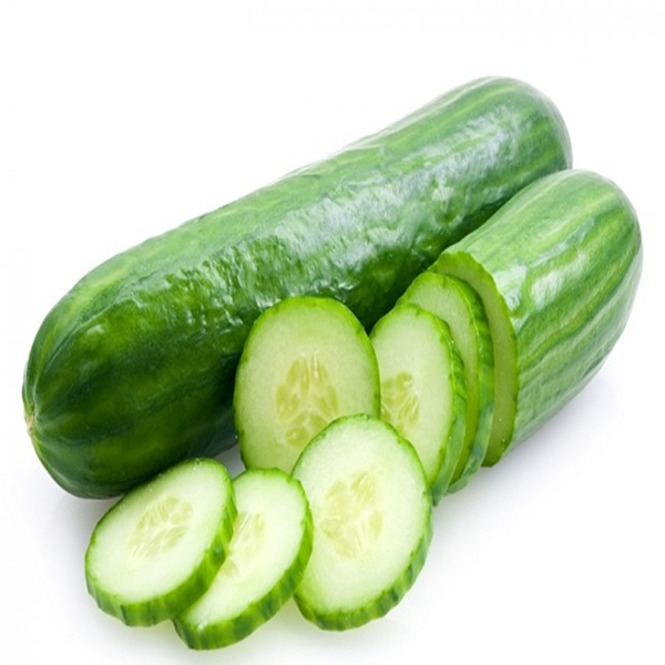 Fresh Cucumber,fresh Cucumber - Seaways Shipping And Logistics Limited 