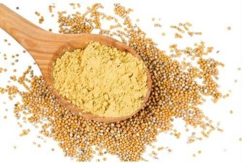 Mustard Seeds Powder, for Spices, Packaging Size : 200gm, 250gm, 500gm