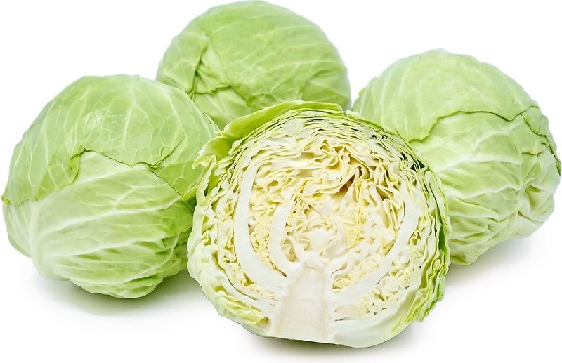 J.A.Traders Common Organic Fresh Cabbage, Shelf Life : 6 Months
