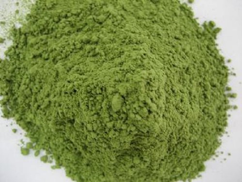 Bermuda Grass Powder, Packaging Size : 10-20kg