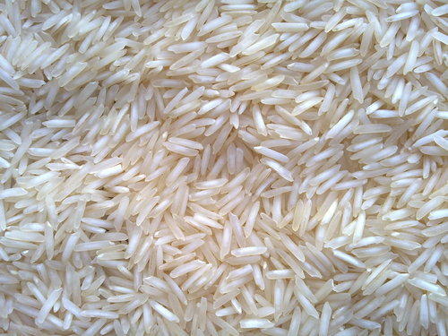 Organic Traditional Basmati Rice, for Gluten Free, High In Protein, Variety : Long Grain