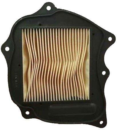 Bajaj Vikrant Air Filter