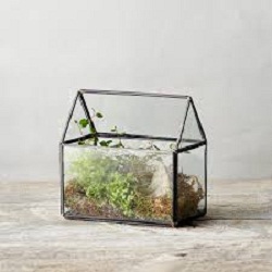 Decorative glass terrarium, Size : Customized