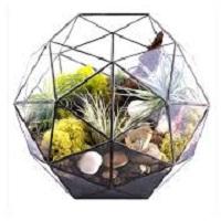 Glass terrariums for plants decor, Color : Black