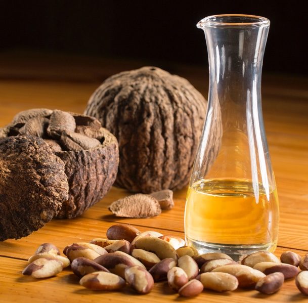 Brazil Nut Oil, for Medicine, Form : Liquid