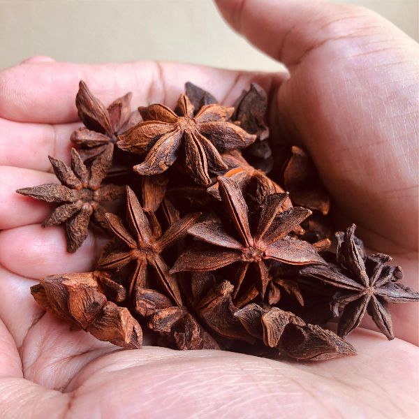 Organic Star Anise, for Cooking, Food Medicine, Packaging Type : Paper Box