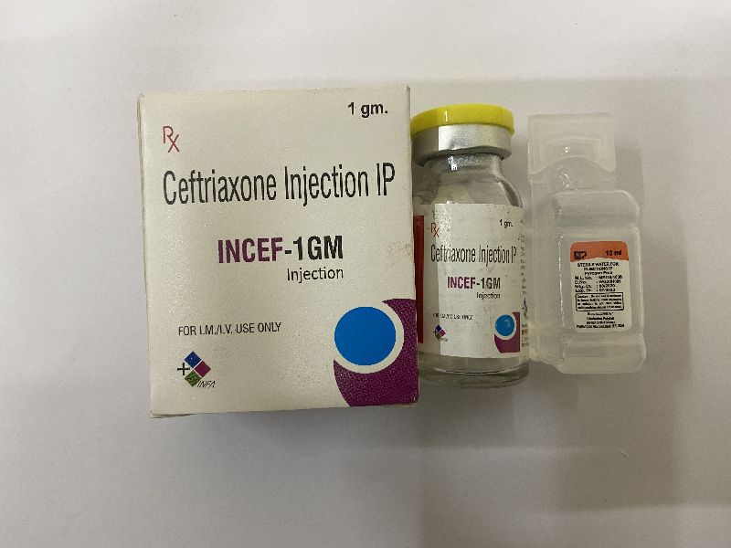 Incef-1gm Injection