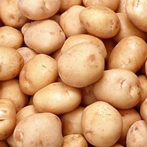 Chipsona Potato Seeds, Shelf Life : 3months