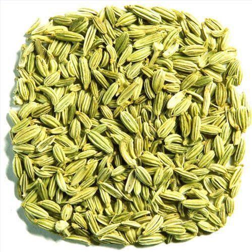 Fennel Seeds, Color : Green