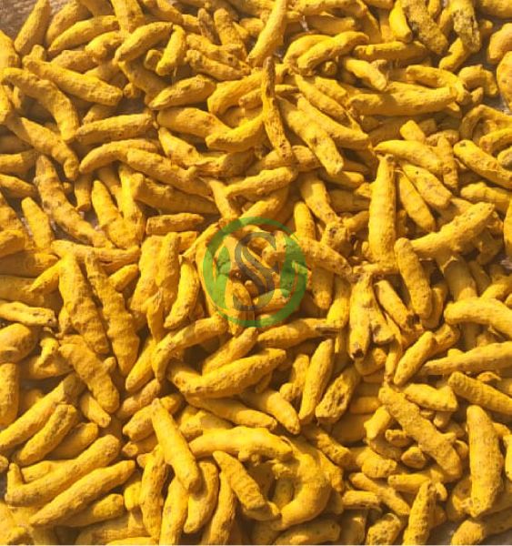 Natural turmeric finger, Color : Yellow