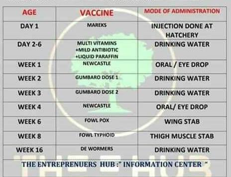 Poultry Vaccination Service