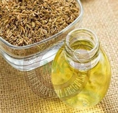 Ajwain Oil, Packaging Type : Glass Bottle