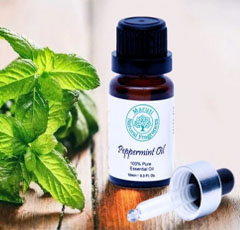 Peppermint Oil, for Aromatherapy, Form : Liquid