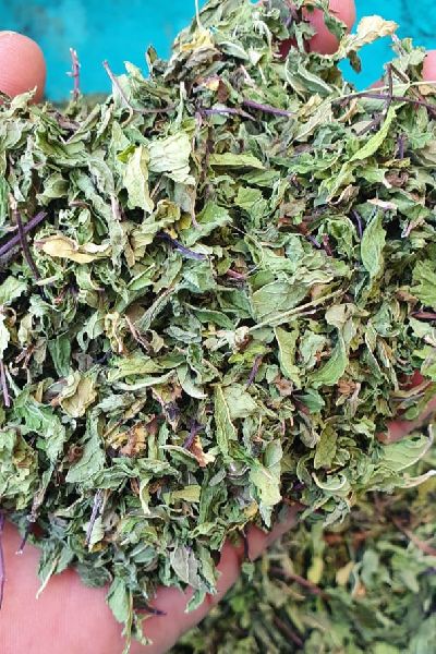 Organic Dried Mint Leaves, Feature : Fresh, Pure