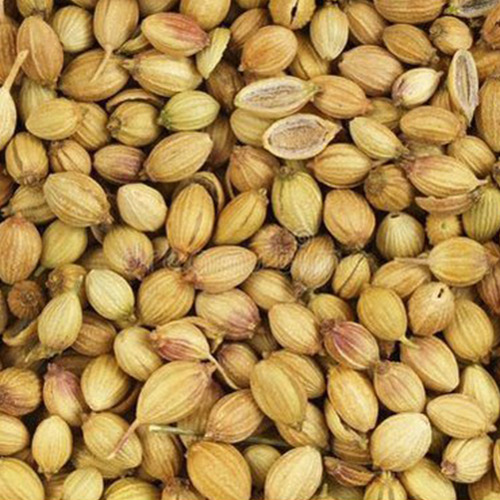 coriander seeds