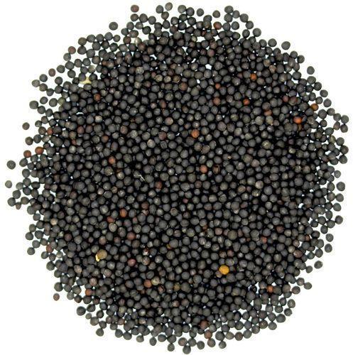 Raw Organic black mustard seeds, Packaging Type : Plastic Packet