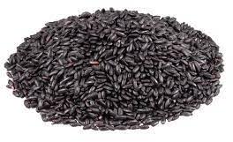 Organic black rice, Shelf Life : 18months