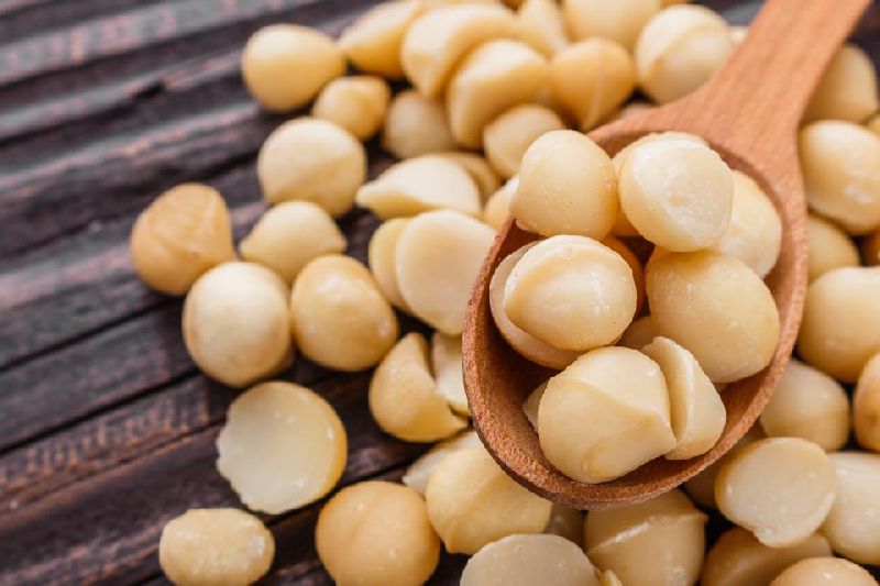 Macadamia Nut, Feature : Immense Health Benefits