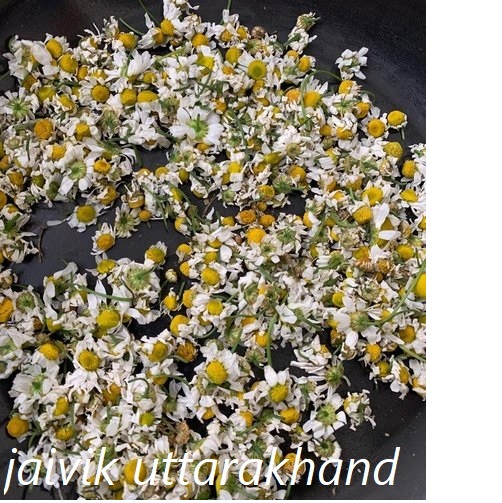 Dried Organic Chamomile Flowers - Matricaria Chamomilla - Babuna Fool