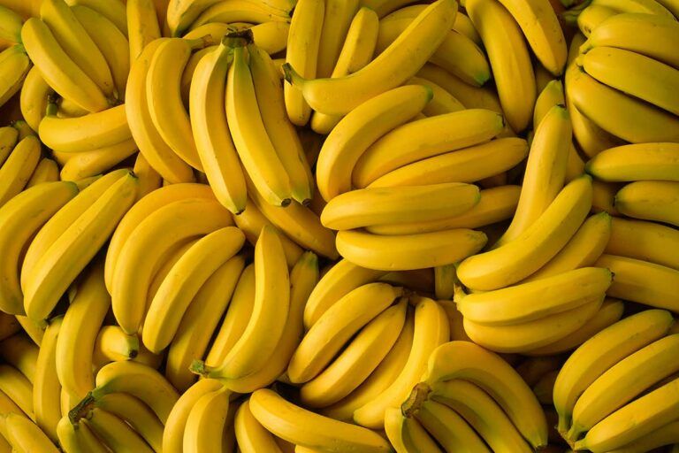 Fresh banana, Feature : Easily Affordable, Healthy Nutritious