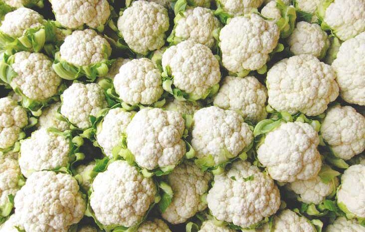 Fresh Cauliflower, Variety : Pusa Dipali, Pant Shubhra, Pusa Snowball 1