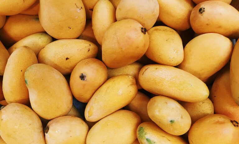 Fresh Mango,fresh mango, Variety : Pusa white, bhima Shweta, Bhima Shubhra