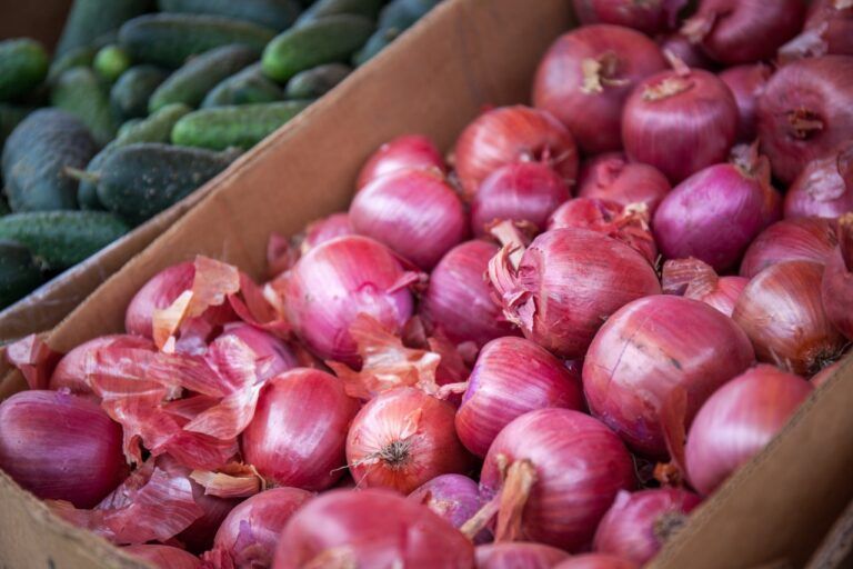 Fresh red onion, Feature : Hygienically Packed