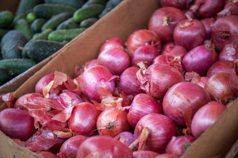 fresh red onion