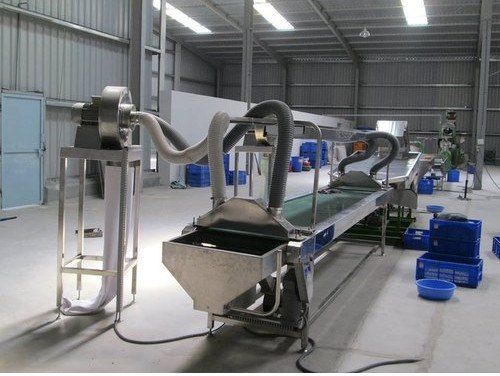 Automatic Cashew Kernels Packing Machine