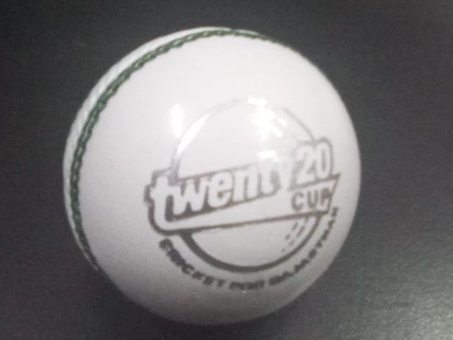 Power Leather Cricket Ball