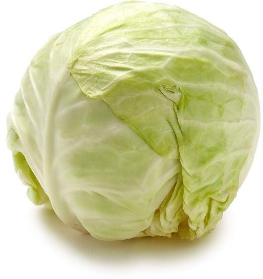 Organic Fresh Green Cabbage, Packaging Type : 50Kg