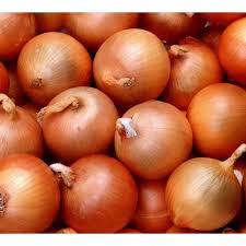 Organic yellow onion, for Cooking, Human Consumption, Feature : Freshness, Natural Taste
