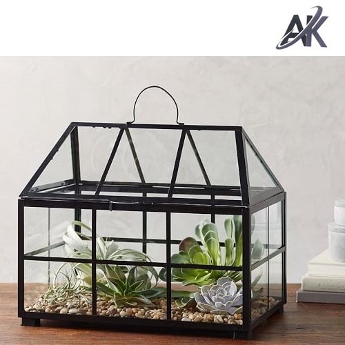 Glass Terrariums, Size : 5 to 40 Inch
